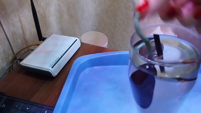 ПЛОДОВИТЫЙ 