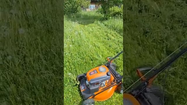 ОГОНЬ Бензиновая газонокосилка ZimAni LC 251V!!!! @gardenstockrus