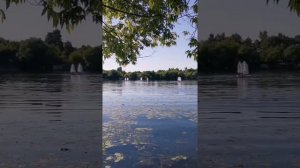 Долгопрудный - за несколько минут, самые интересные места города! ❤️