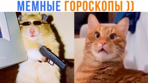 МЕМНЫЕ ГОРОСКОПЫ ))) Кто ты из Винкс?) Приколы | Мемозг 1607