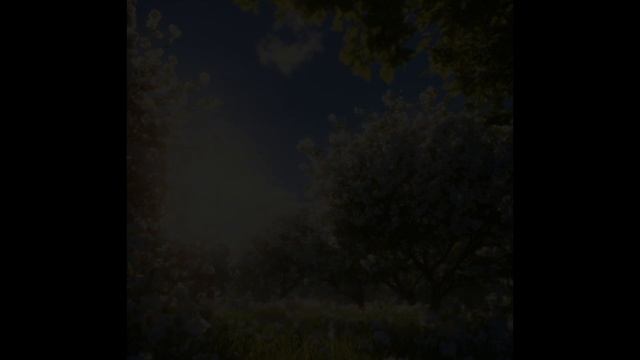 Тупоголовая! выпалила мать вручая конверт с $300 чтобы в