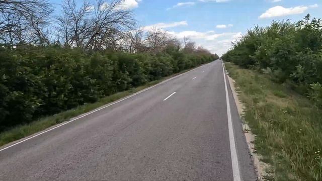 Велотренировка Воронеж 2024 смотреть онлайн