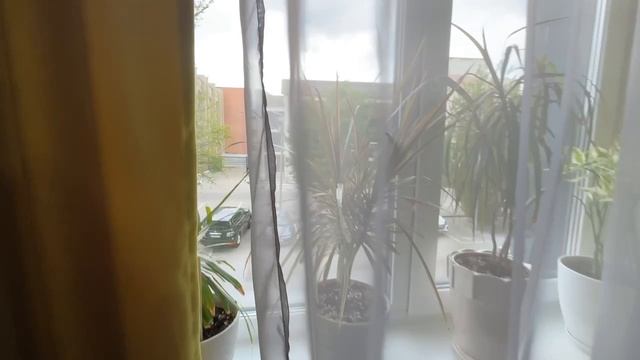 1000194535.mp4 смотреть онлайн