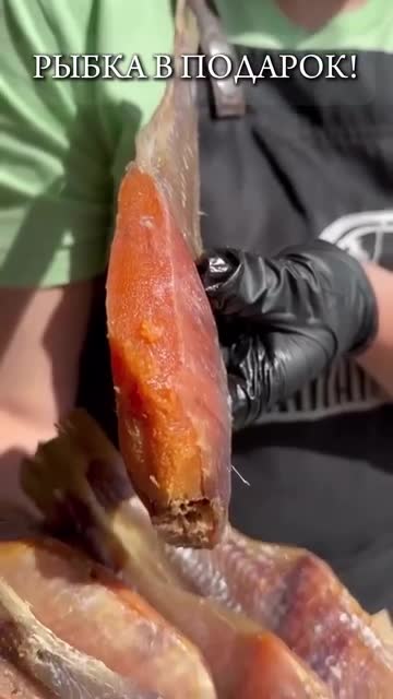 Вобла, вылов Апрель 2025г. Готова. Малосольная вяленая цельная тушка (не пересушенная и не пересо... смотреть онлайн