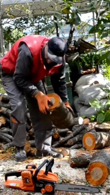 Распил дров аккумуляторной пилой #shortsvideo смотреть онлайн