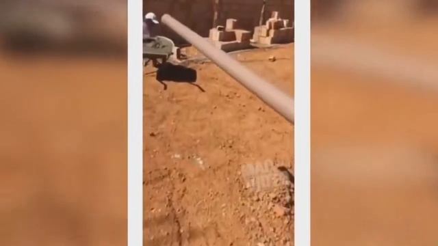 20 МИНУТ ОТБОРНЫХ ПРИКОЛОВ, ЛУЧШИЕ ПРИКОЛЫ 2019 ржака до слез прикол Вот это веселуха #22 смотреть онлайн
