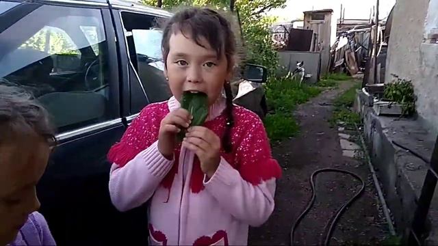 Прикол Щавель трава Пранк 2018 Самое Лучшее смотреть онлайн