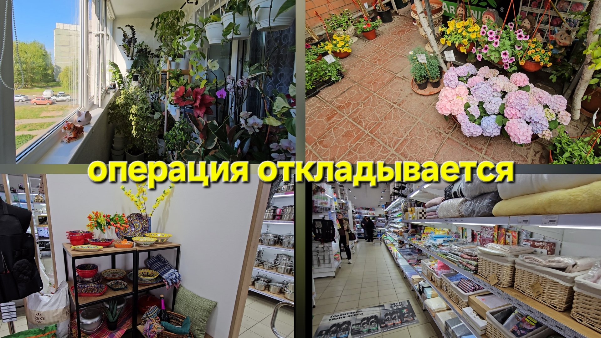 19.05.2025 г Два дня со мной/ Садовый центр/ Комнатные растения/ Товары для дома/ Когда операция? смотреть онлайн