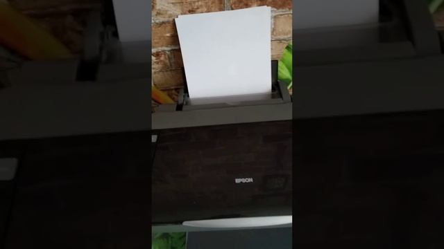 Мфу Epson Stylus CX3900 В рабочем состоянии. Требуется замена ч смотреть онлайн