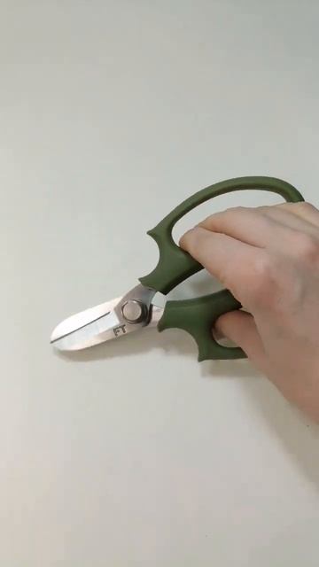 Ножницы для флористов #shorts #декор #флорист #рекомендац? смотреть онлайн