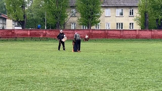 1 Отл. КЧК Djelari Hil OMAR SI +++ №25 Лучший на защите / КЧК КИСЕЛЕВСК 11 мая`25 Н.Тихонова Моно н/