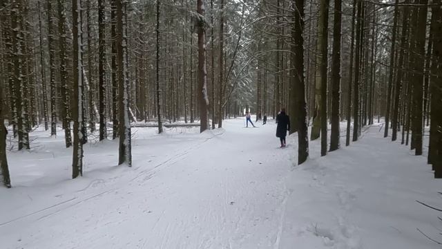 Соревнования на которых я обиделся смотреть онлайн