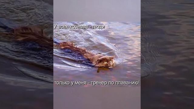 Яркие штрихи жизни: моменты, которые остаются в сердце смотреть онлайн