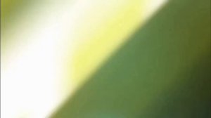 Возобновление вещания BRIDGE ФРЭШ RETRO 02.10.2023