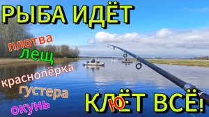 РЫБАЛКА НА РЕКЕ С ЛОДКИ. РЫБА ИДЁТ. КЛЮЁТ ВСЁ!