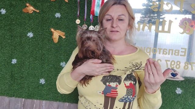 СЫНОК ТАК СЫНОК🥰💕♥️‼️ ЦЕНА 50 Т Р ДОСТАВКА ПО МИРУ+7