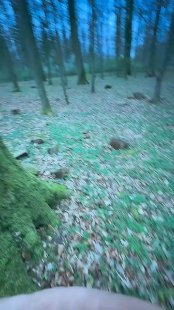 Нашёл монету! #золото #metaldetecting #shortvideo #коп #поиск #metaldetect смотреть онлайн