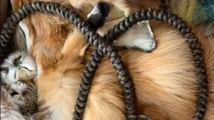 Пытаюсь хоть что то изобразить в манок на утку