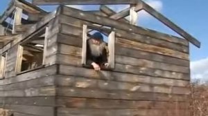 1/10 мем. Вы кто такие? Я вас не звал!!!