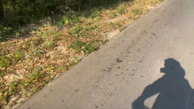 Замер максимальной скорости на Progasi Palma 250!