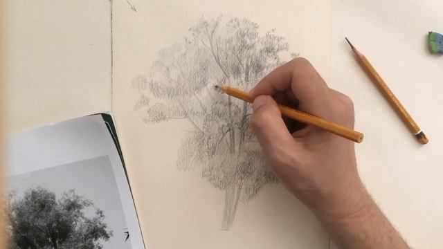 Рисуем Дерево с карандашом. смотреть онлайн