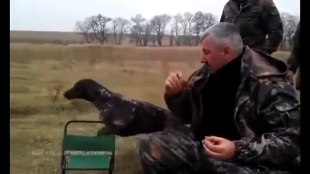 Raffle with high-speed lift. Розыгрыш со скоростным лифтом, Приколы в лифте. Fast Elevator Prank. смотреть онлайн