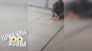 🐭 Бомж и дрессированные Крысы ↓↓↓ приколы 2020