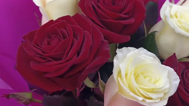 Букет 11 красных и белых роз смотреть онлайн