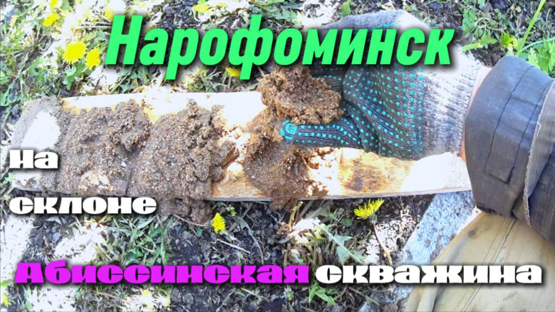 Абиссинка в Нарофоминске!