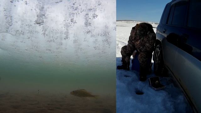 Аккуратная ловля рыбы в глухозимье смотреть онлайн