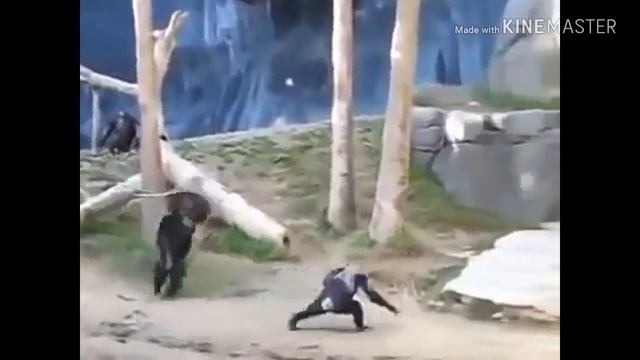 Версии ща зарежу нах***