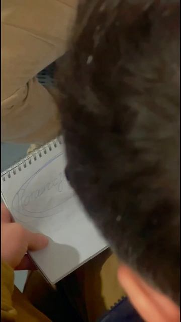 Рубрика «на приеме у психолога» ч.3 для заказа ratteco-shop.ru смотреть онлайн