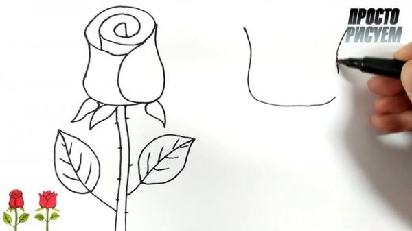 2 простых способа как нарисовать РОЗУ