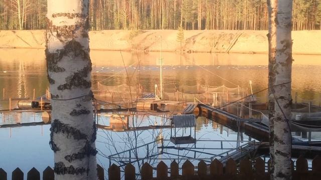 утки 2025.05.19 смотреть онлайн