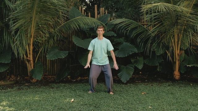 8 форма Тайцзийюань (стиль ян) 8 Form Taijiquan