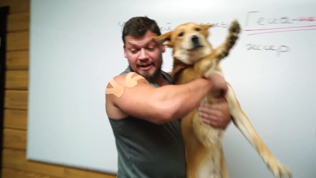 СЛИВ ТЕМ ИТОГОВОГО СОЧИНЕНИЯ 4 ДЕКАБРЯ | РОЛИК БУДЕТ УД смотреть онлайн