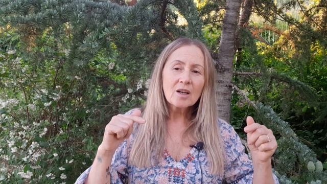 Совет для начинающих розоводов. Мой опыт. Роза Gloria Dei. смотреть онлайн