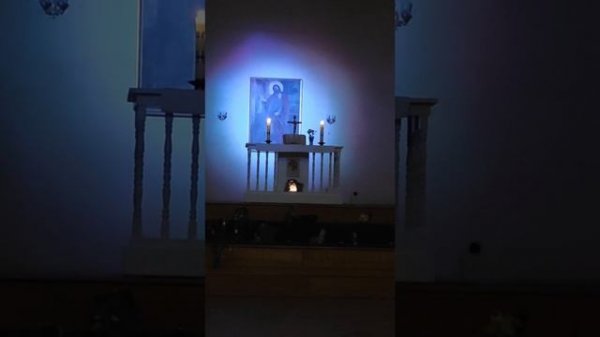 Органные концерты в церкви Святой Екатерины на Большом Проспект Васильевского Острова, Петербург