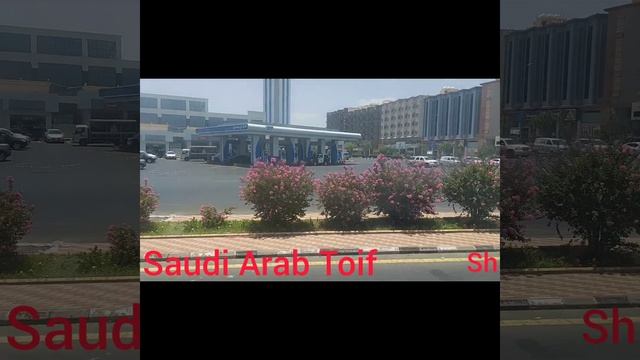 370/Тоиф.Город роз.