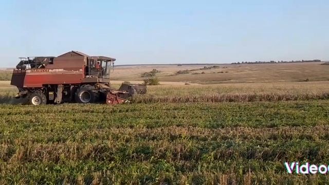 закончили уборку озимой пшеницы