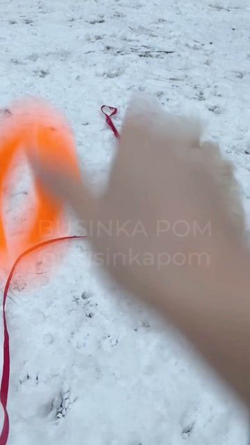 #шпиц играет на улице зимой my #pomeranian is playing outside  #собака #cutedog #funnydog