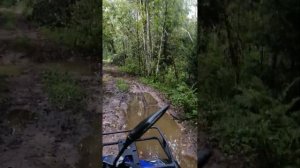 Sharmax alligator 400 часть 3