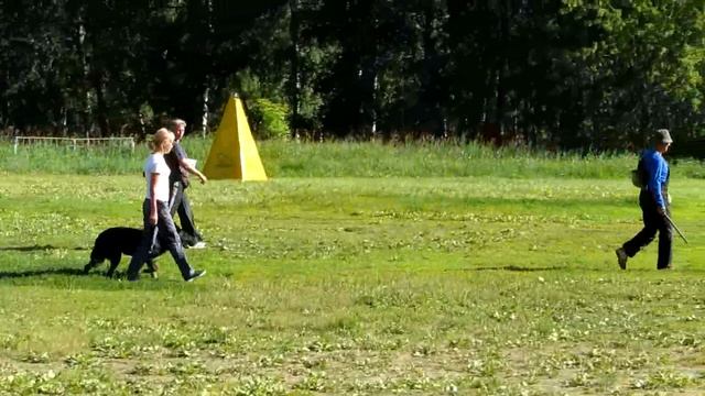 Красноярск Лена с немецкой овчаркой Марго защита ипо 2