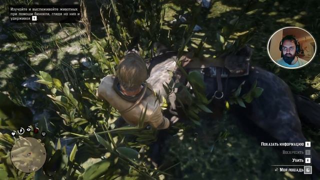 Стрим на AMD :D | Red Dead Redemption 2 | Повозка с девушками