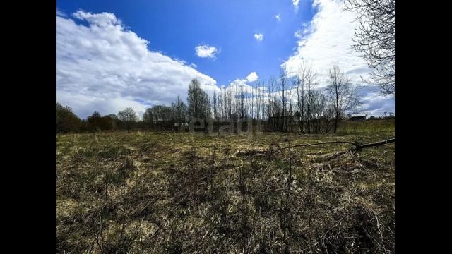 7766302 смотреть онлайн