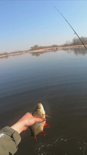 КРАСНОПЁРКА/ЛОВЛЯ НА МОРМЫШИНГ/УЛЬТРОЛАЙТ СПИННИНГ/РЕКА ВОЛГА/ВАСИЛЬЕВСКИЕ ОСТРОВА/РЫБАЛКА В САМАРЕ