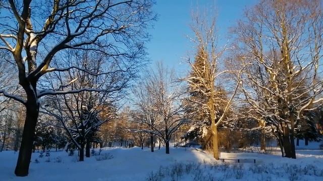 2024.01.07. Погода Петербург. 14:00. - 14°. Солнечно. День темпур смотреть онлайн
