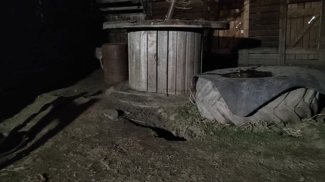 вечерние скачки волков смотреть онлайн