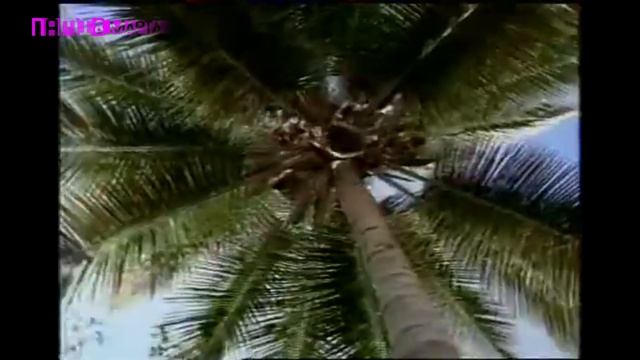 Сборник рекламных роликов шоколада 