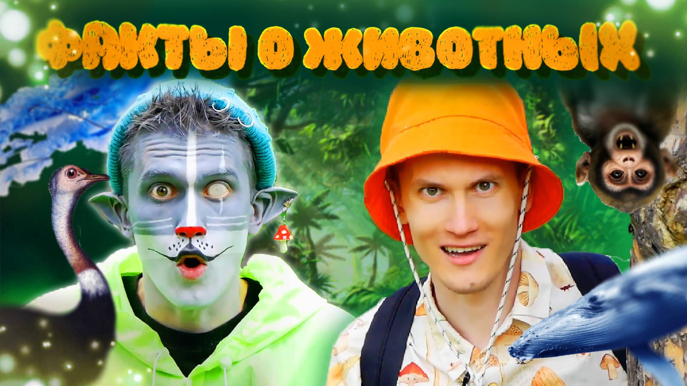 КОТ УЧЁНЫЙ| ФАКТЫ О ДИКОЙ ПРИРОДЕ смотреть онлайн